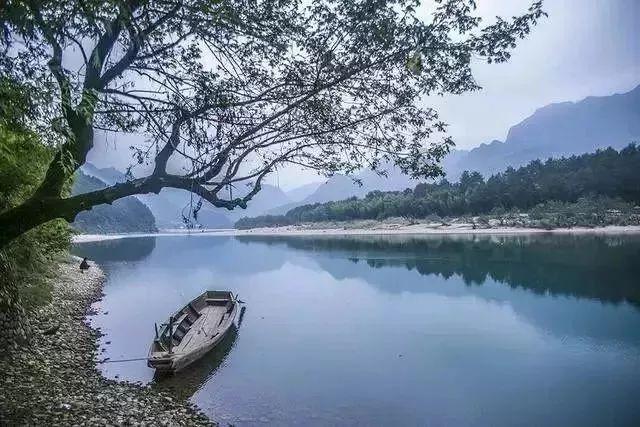 《临时劫案》:全体成员都废物?疯狂剧情曝光