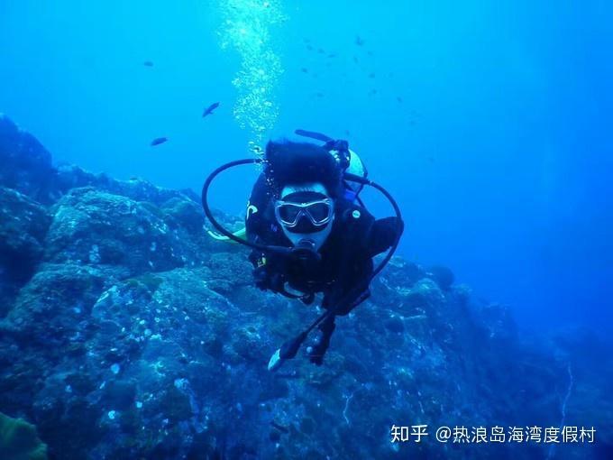 住我市自治区政协委员持续热议政府工作报告